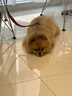 카페온유 2