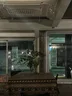 헤이브 3
