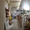 리글림 11