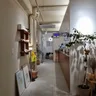 리글림 15