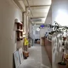 리글림 16