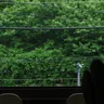 블루마일스커피 2