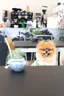 몬더그린커피 6